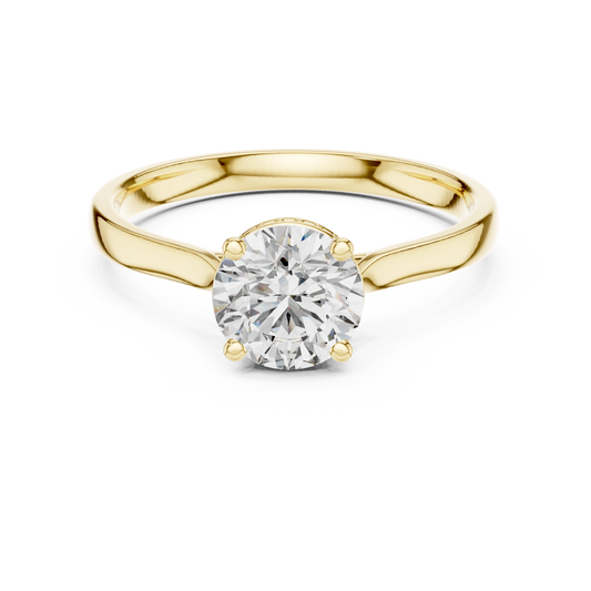 Round Solitaire Hidden Halo Ring